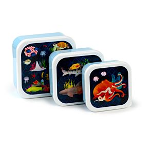 Marine Kingdom Meerestiere Lunchboxen Brotdosen 3er Set M/L/XL 