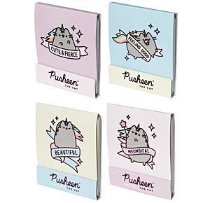 Pusheen Pusheenicorn Streichholzbriefchen Nagelfeile